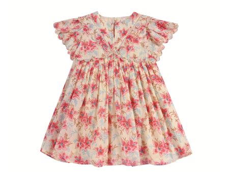 Girls Red Floral Cotton Dress Hot on Sale