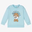 Baby Boys & Girls Blue Cotton Sweatshirt For Cheap