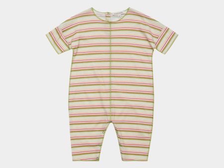 Baby Boys & Girls Beige Stripe Cotton Babysuit For Discount