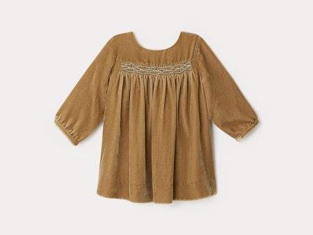 Baby Girls Beige Velvet Dress Online now